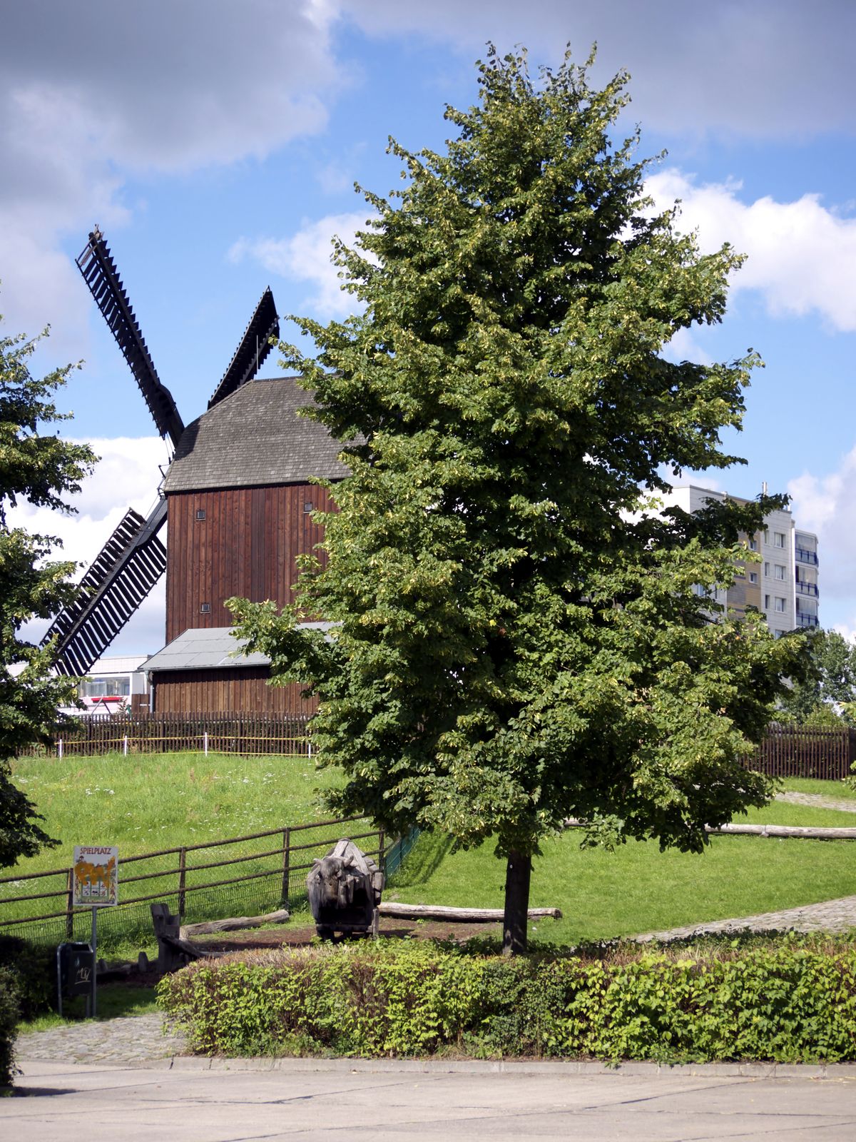 Bockwindmuehle Marzahn und Lindenbaum