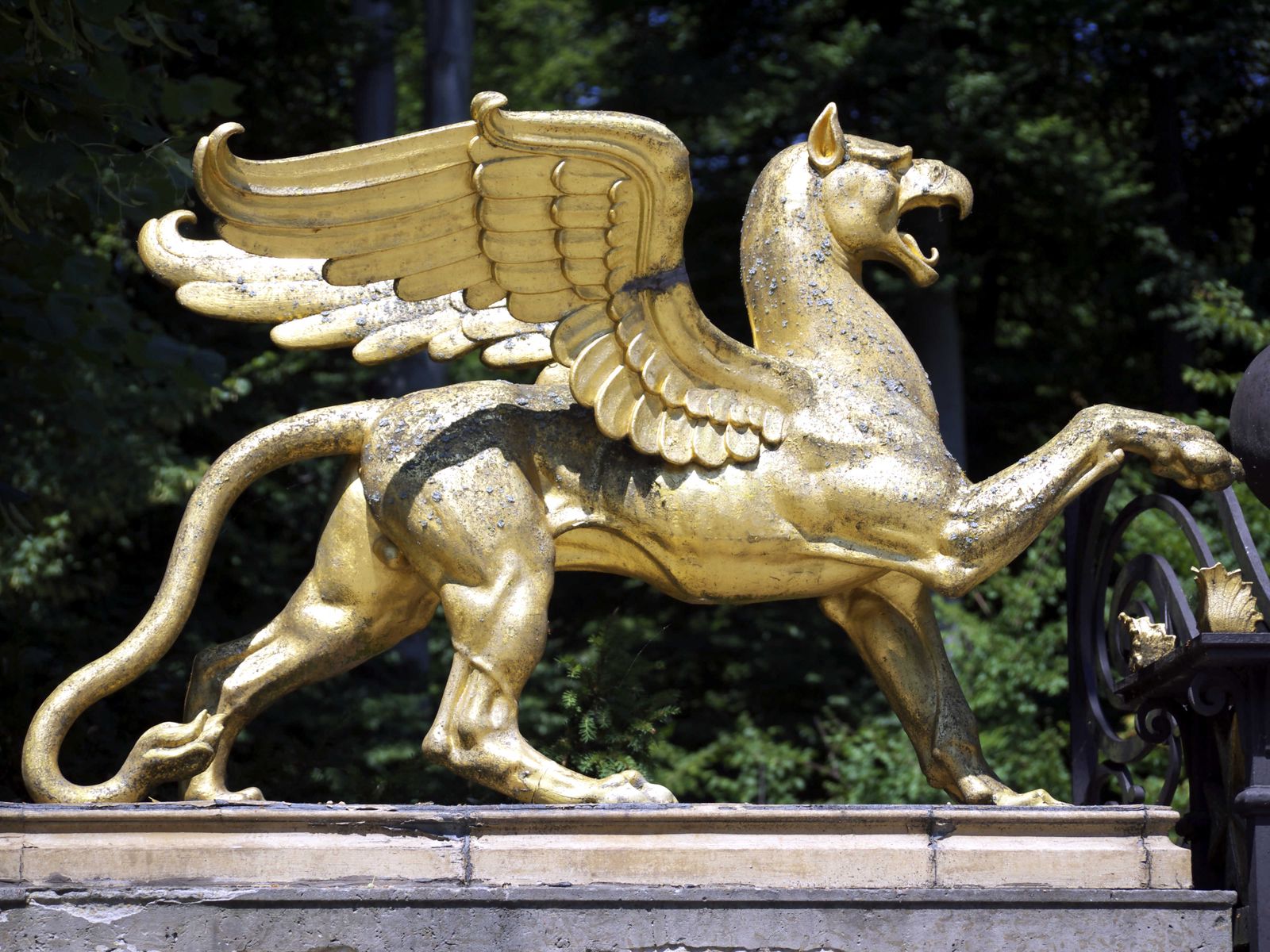 Pegasus