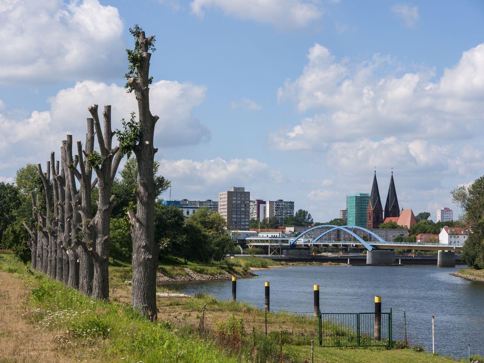Frankfurt-Baumreihe-Brueckenblick