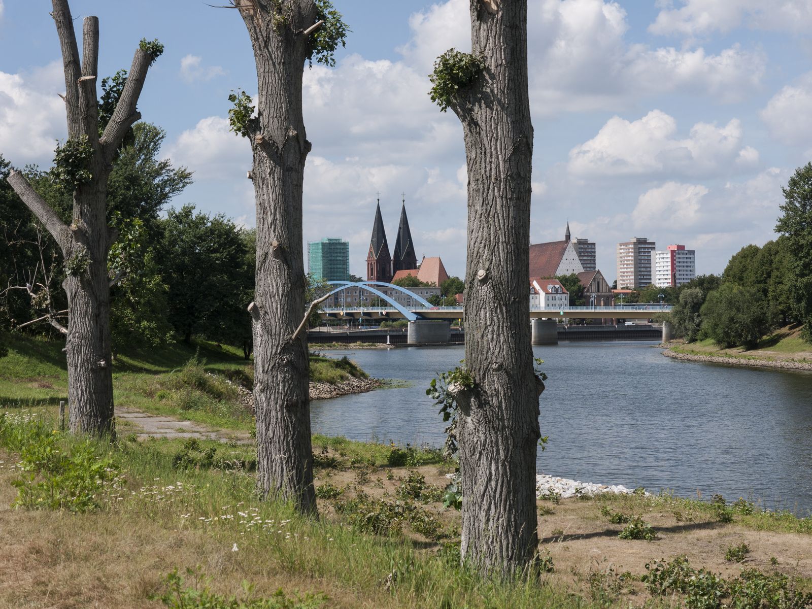 Frankfurt-Baumreihe-Brueckenblick