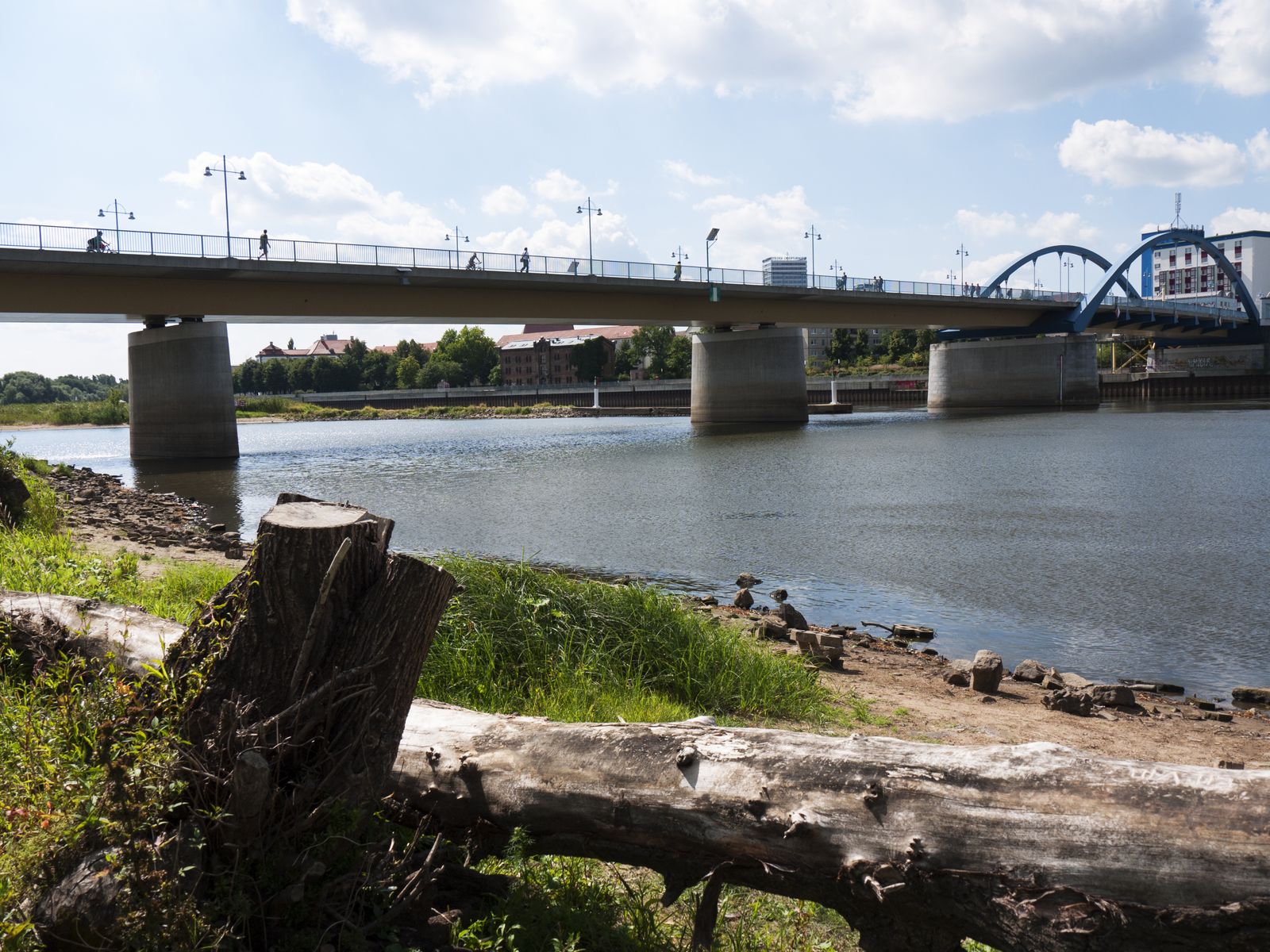 Frankfurt-Bruecke-Sommerlandschaft
