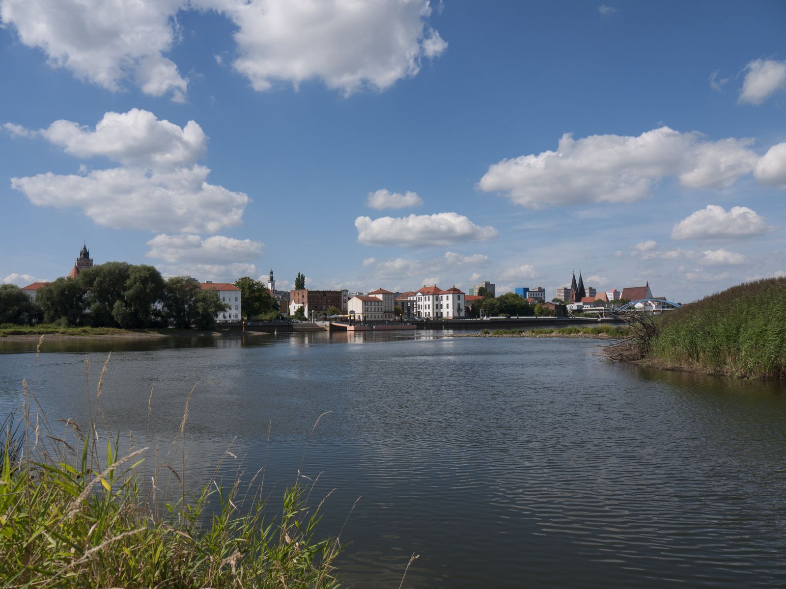 Frankfurt-Flussblick
