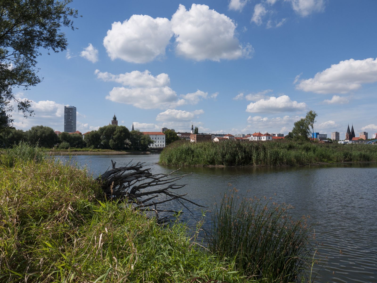 Frankfurt-Natur-Stadtblick