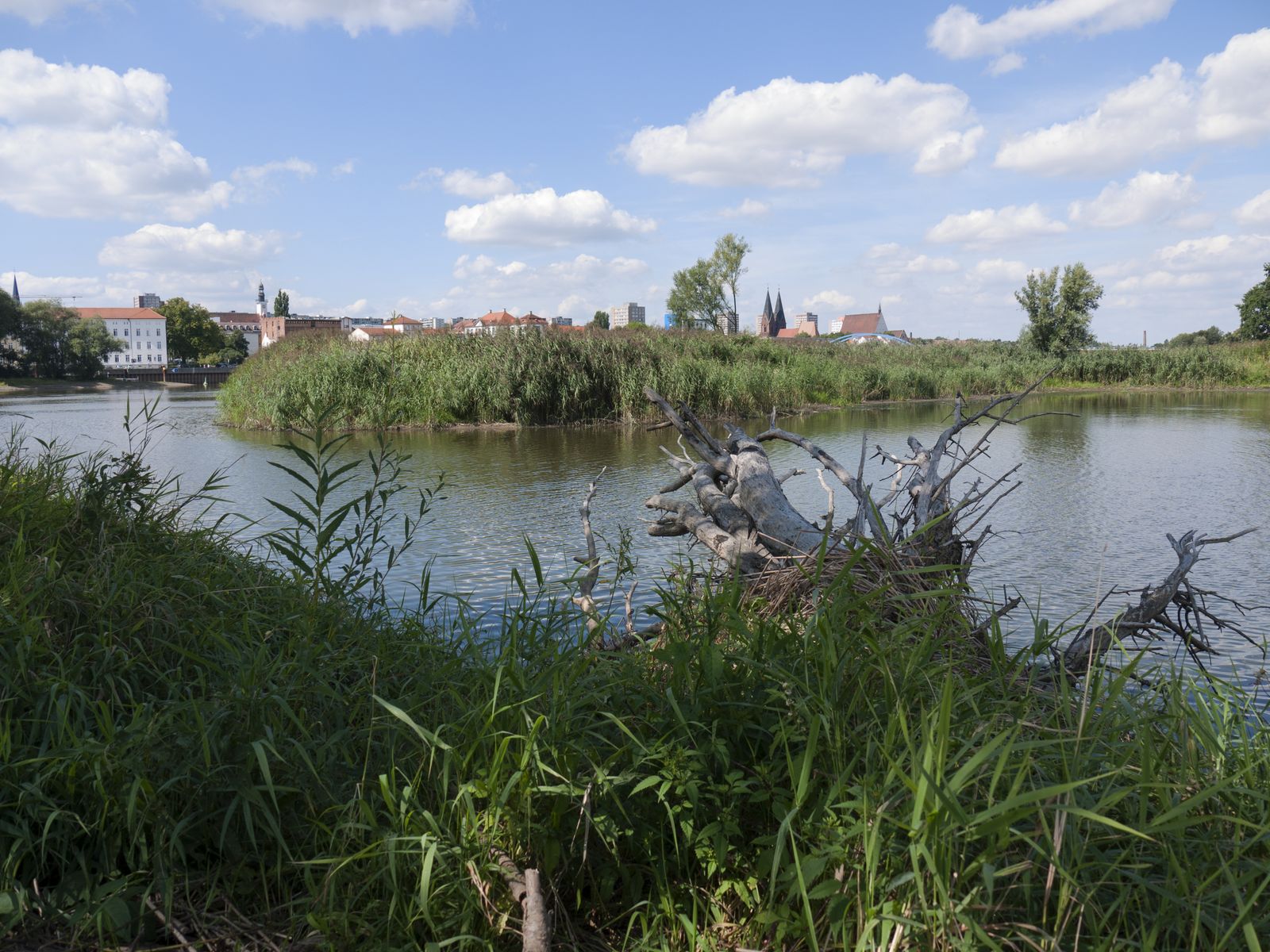 Frankfurt-Oderufer-Stadtblick