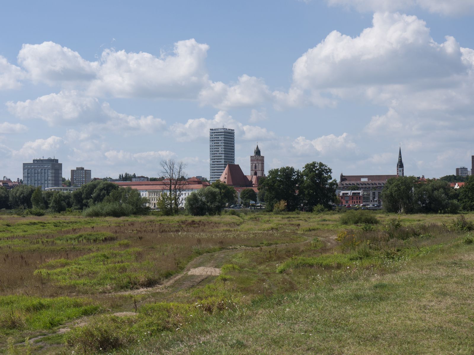 Frankfurt-Wiese-Skyline