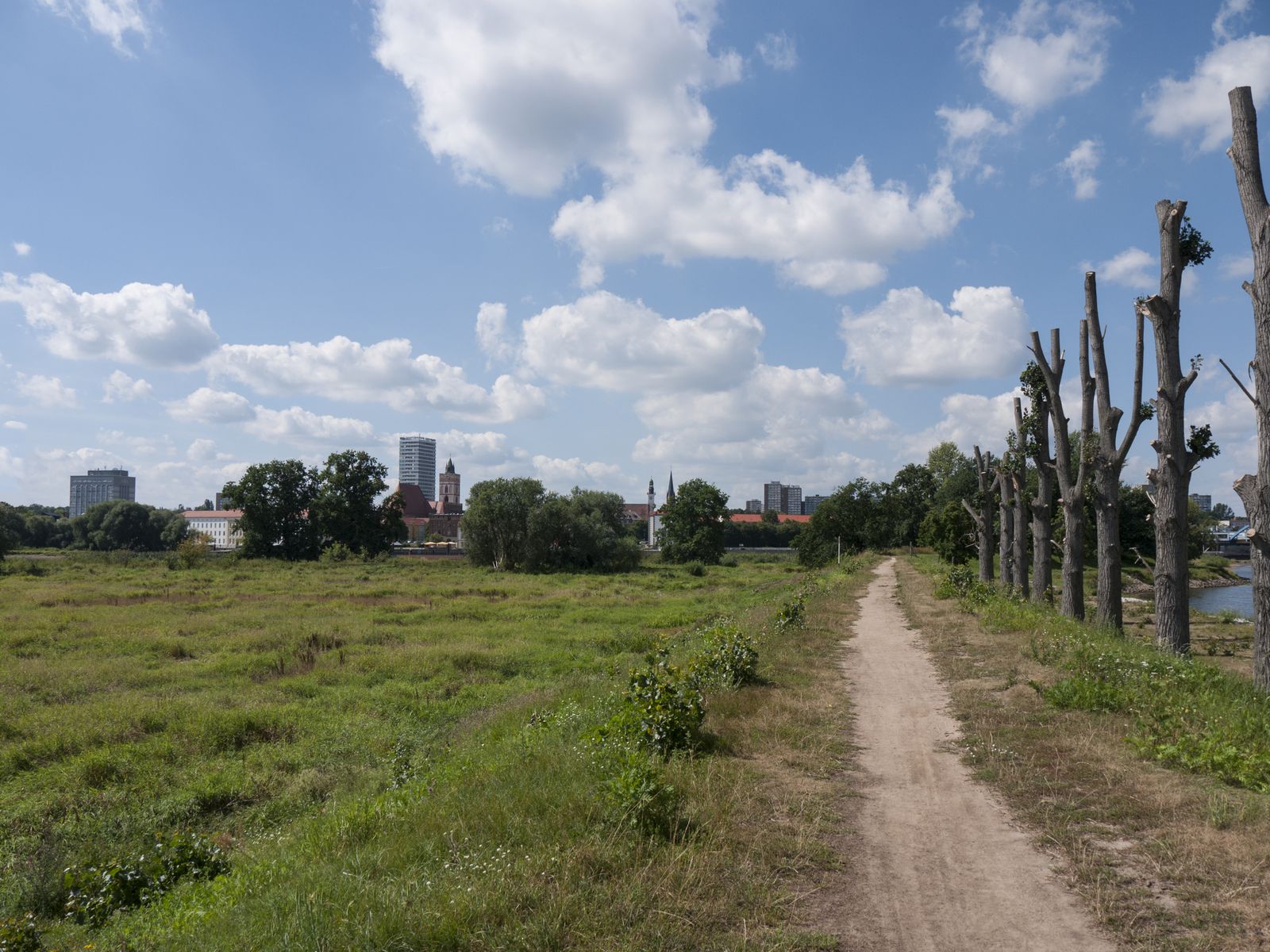Frankfurt-Wiese-Stadtblick