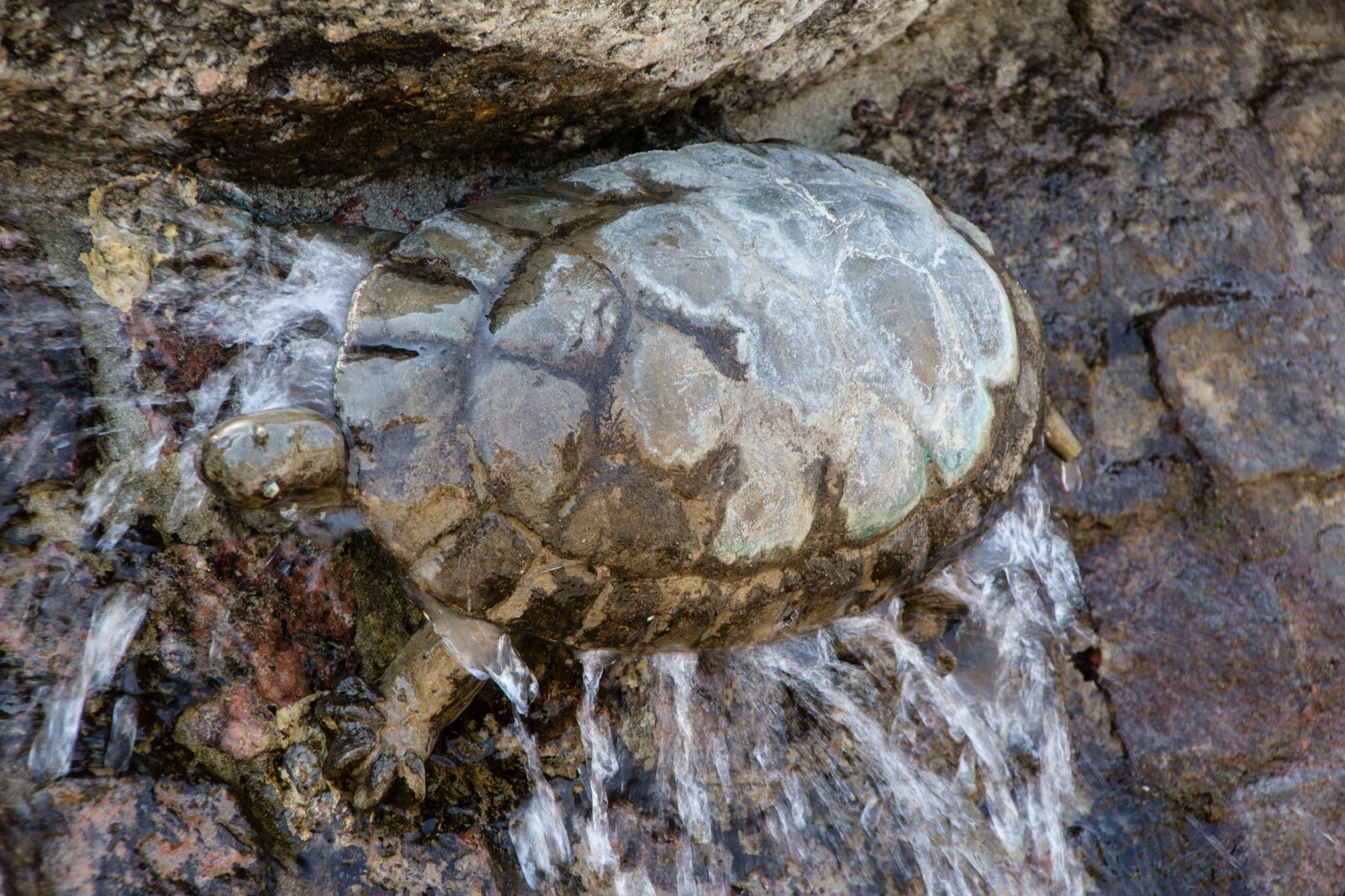Wriezen-Marktbrunnen-Schildkroete