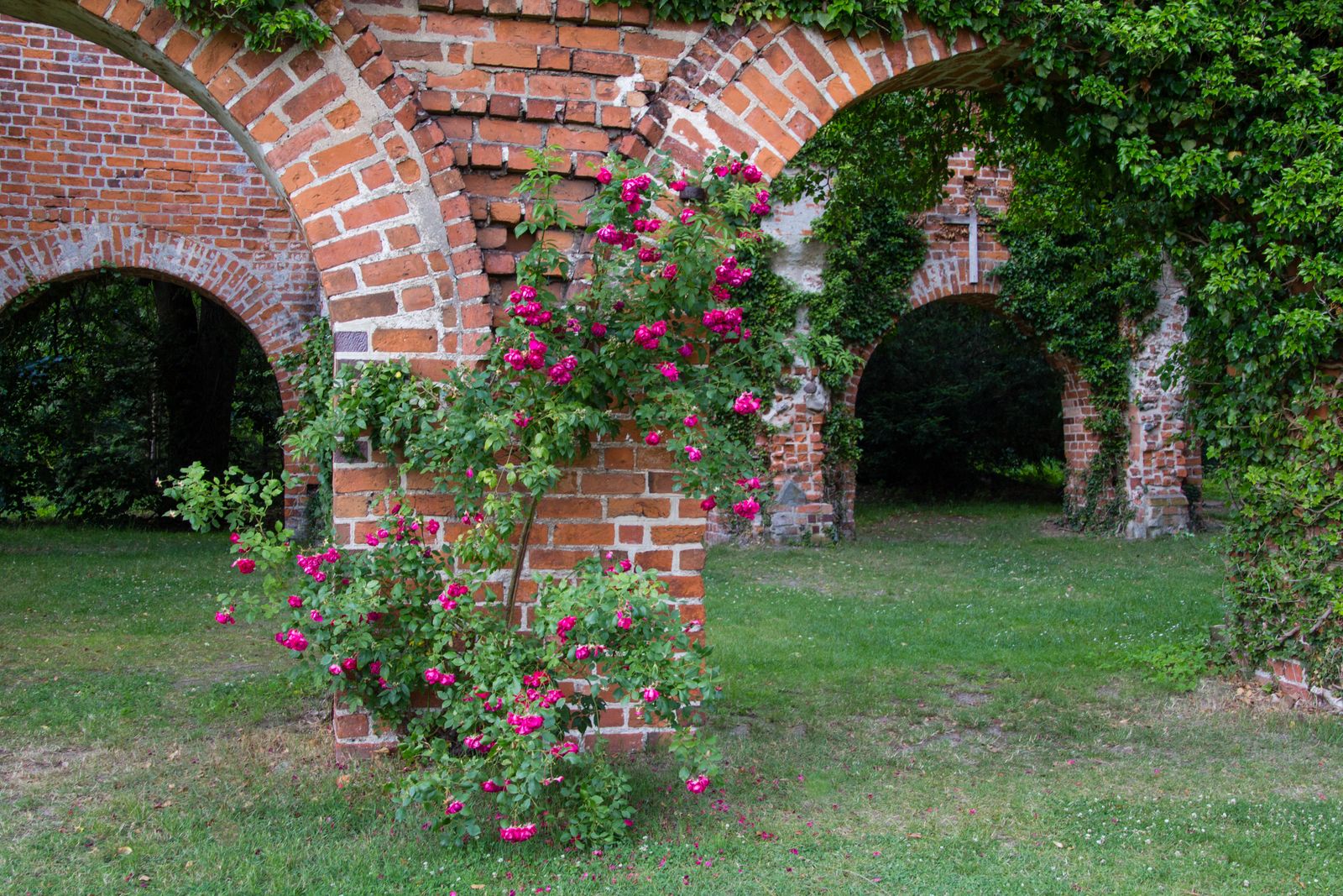 Himmelpfort-Klosteranlage-24