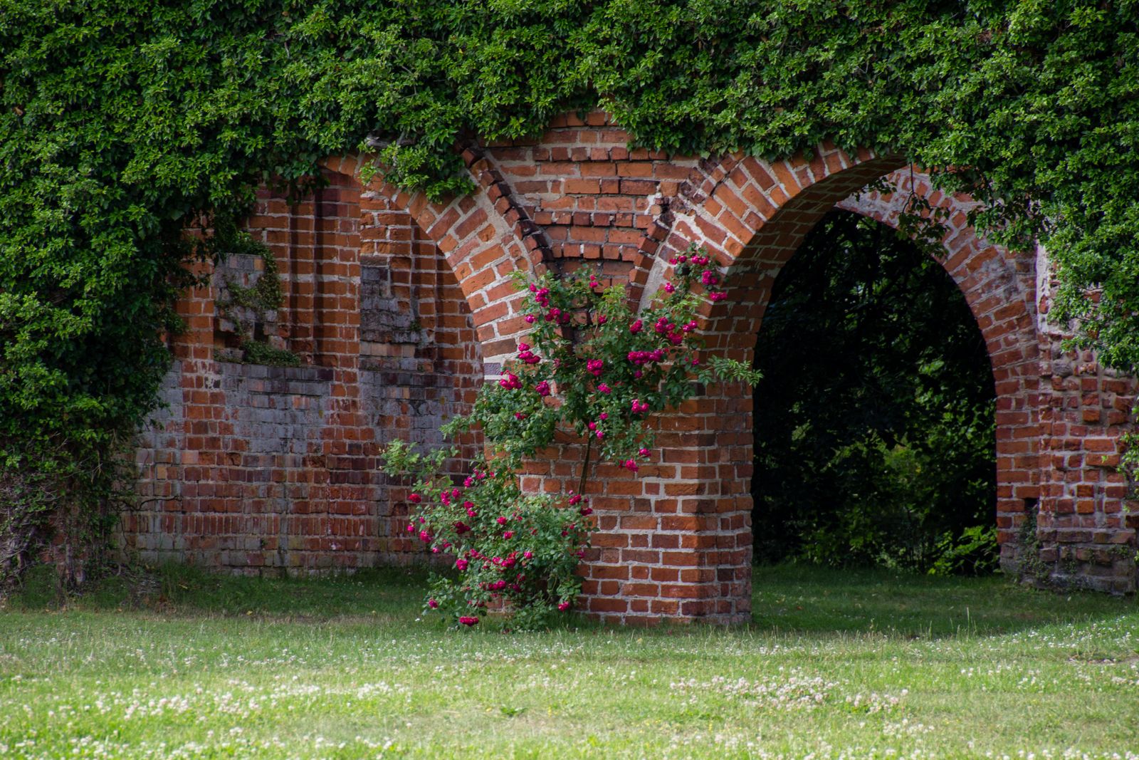 Himmelpfort-Klosteranlage-5