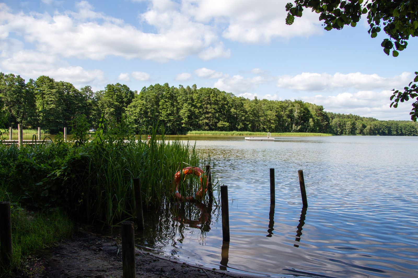 Himmelpfort-Moderfitzsee-5