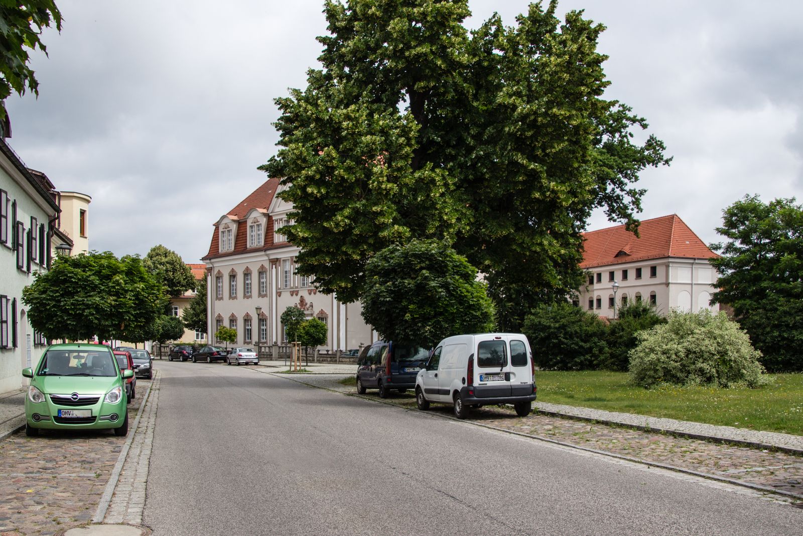 Zehdenick-Amtsgericht-Gerichtslinde