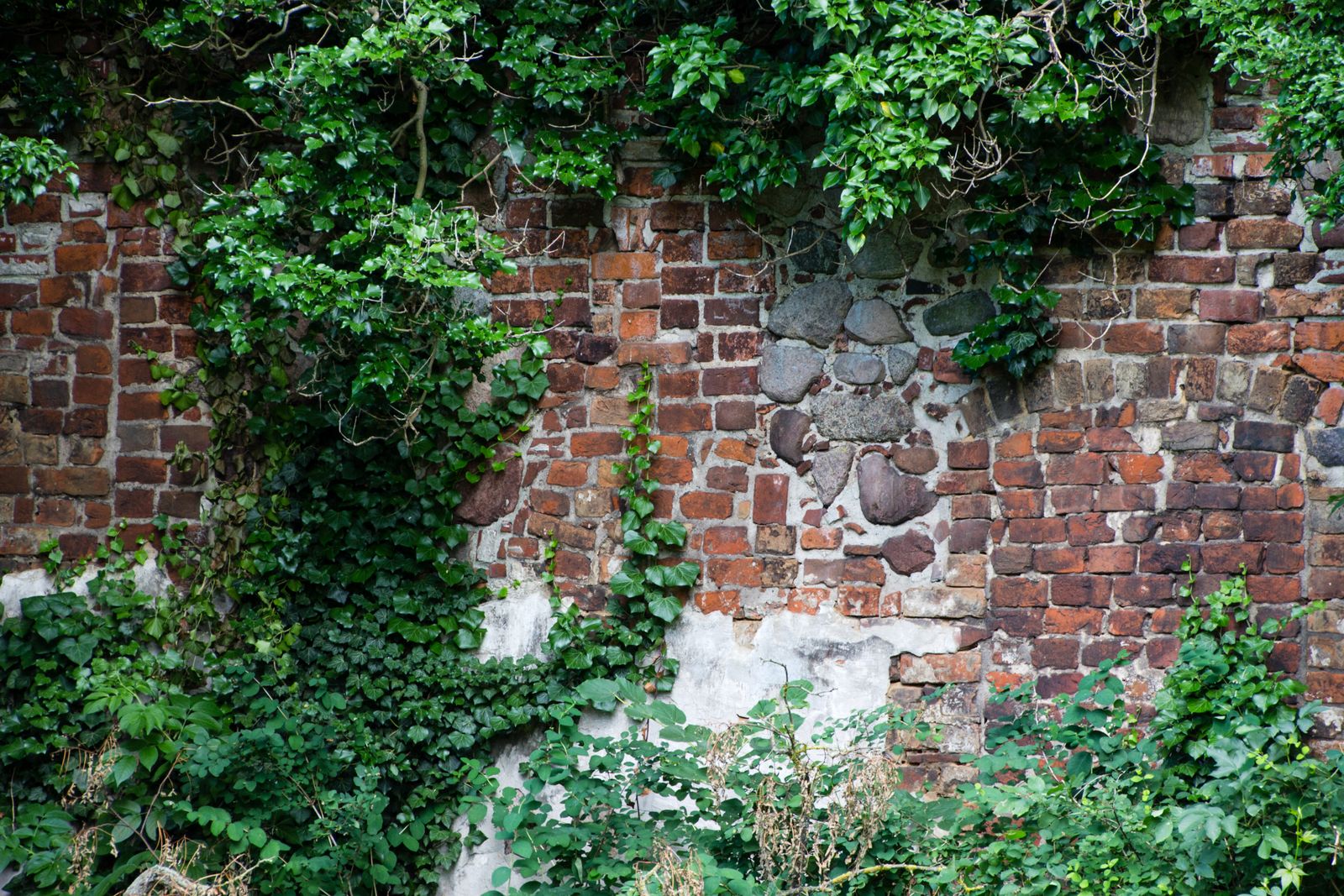 Zehdenick-Klostermauer-5