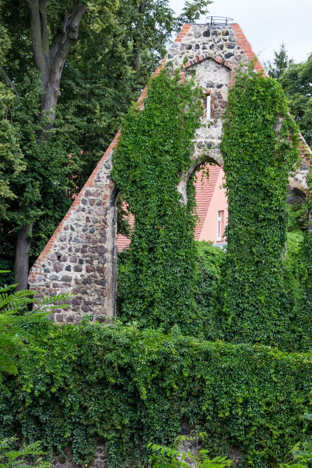 Zehdenick-Klosterruine-6