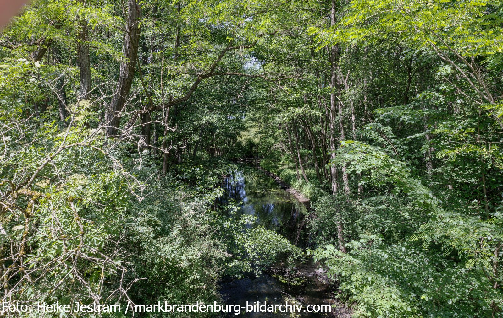 Grünheide-Löcknitz