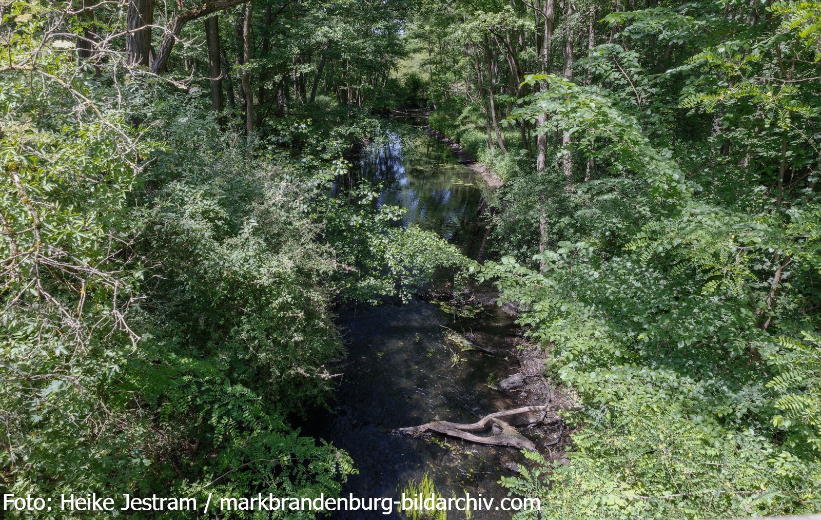 Grünheide-Löcknitz