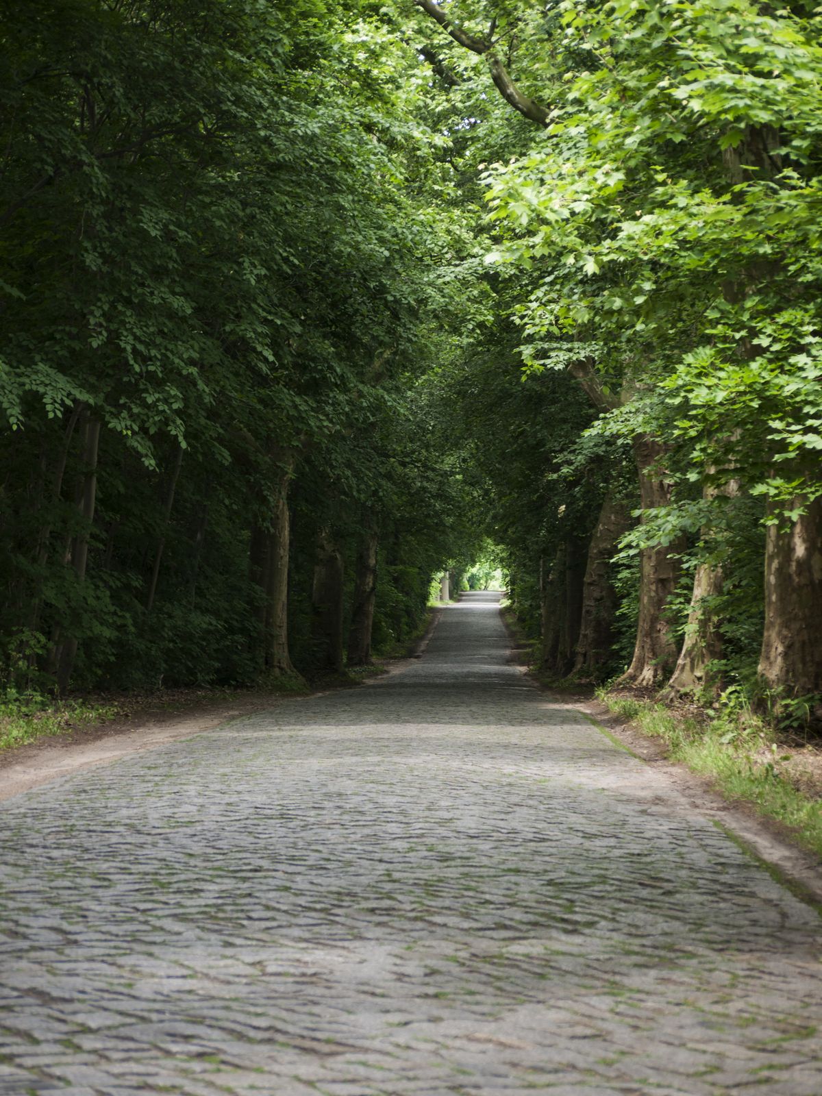 Gnewikow-Strasse