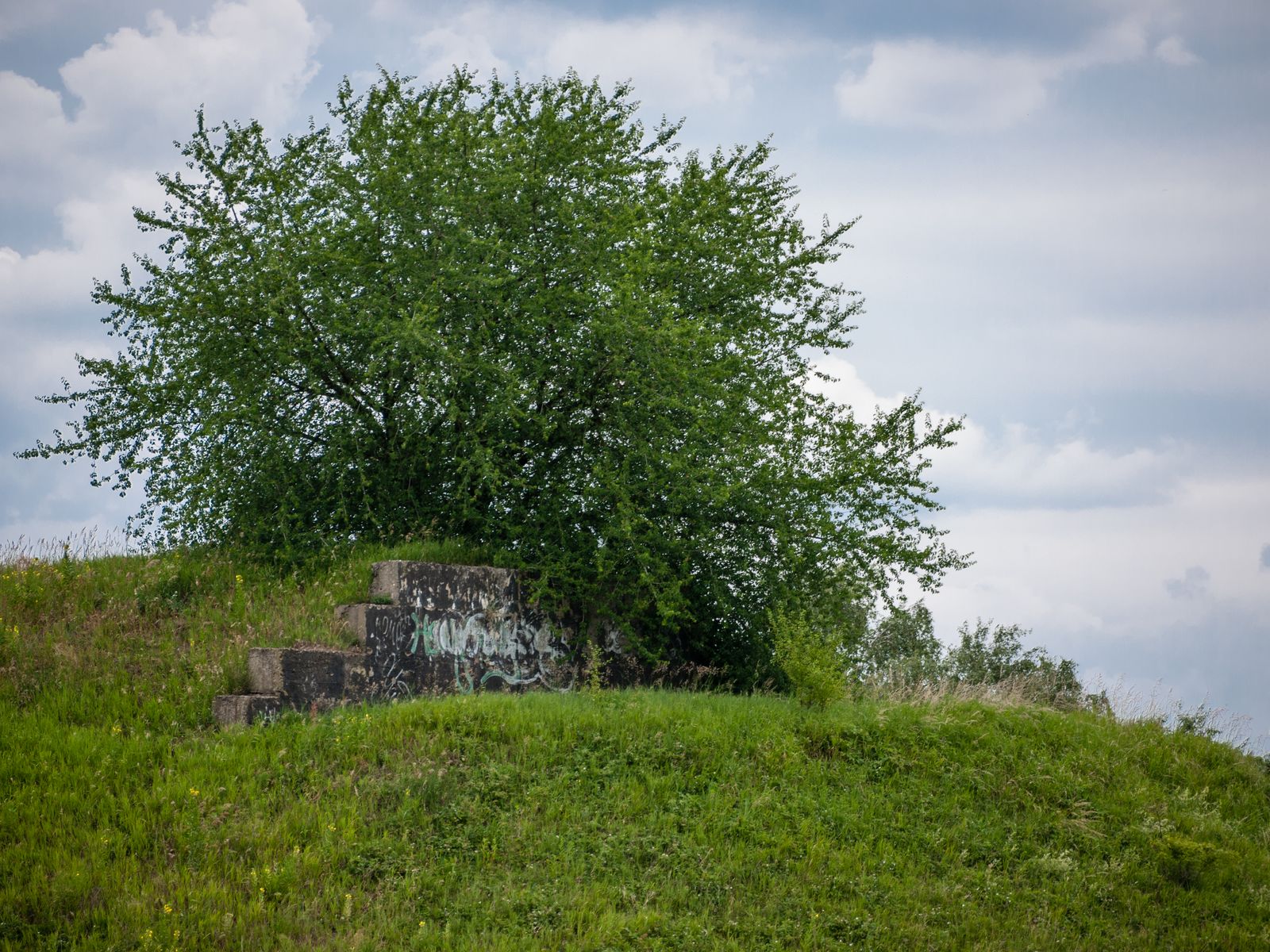 Neuruppin-Flugplatz-20