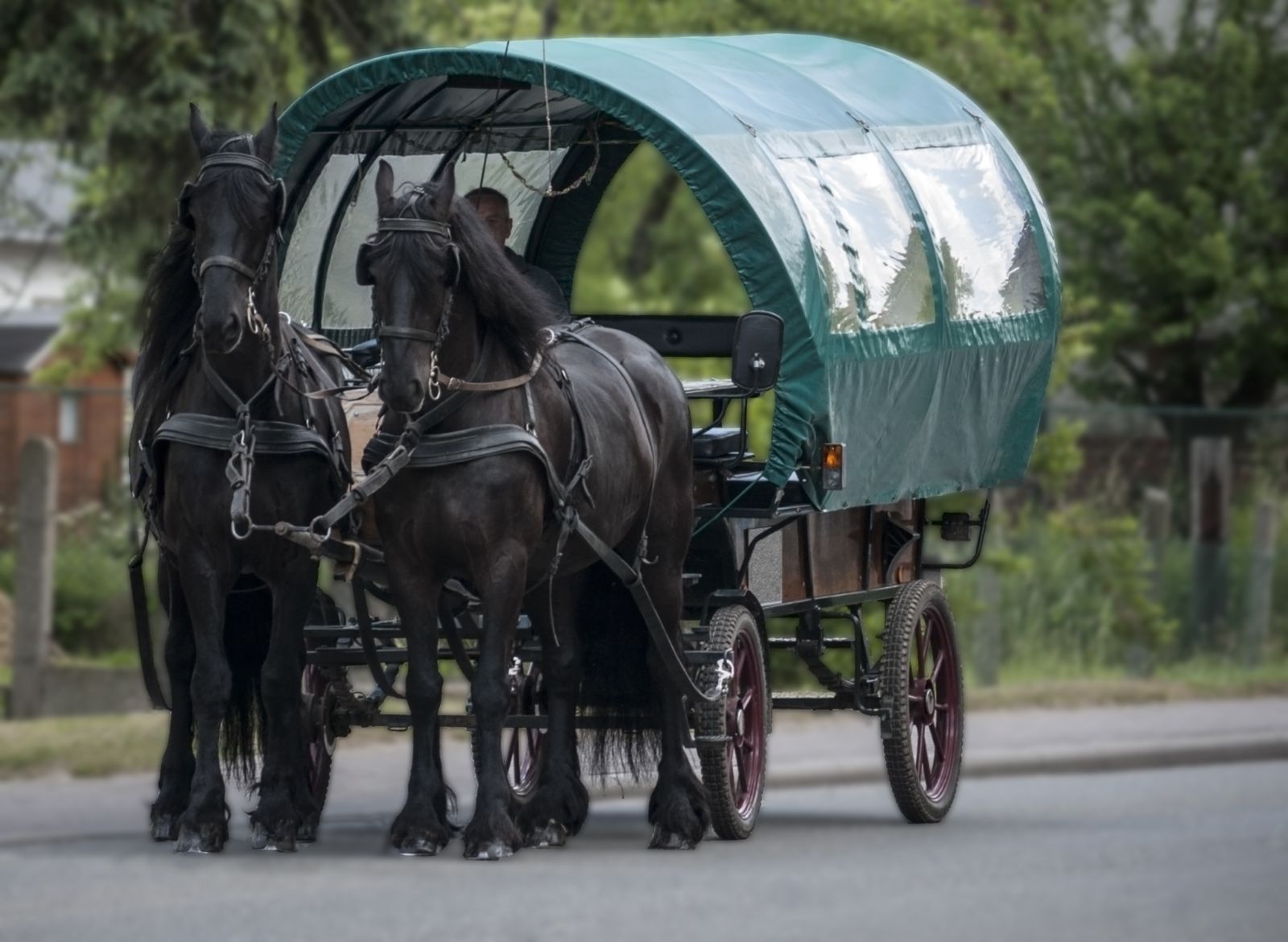 Neustadt-Pferdewagen