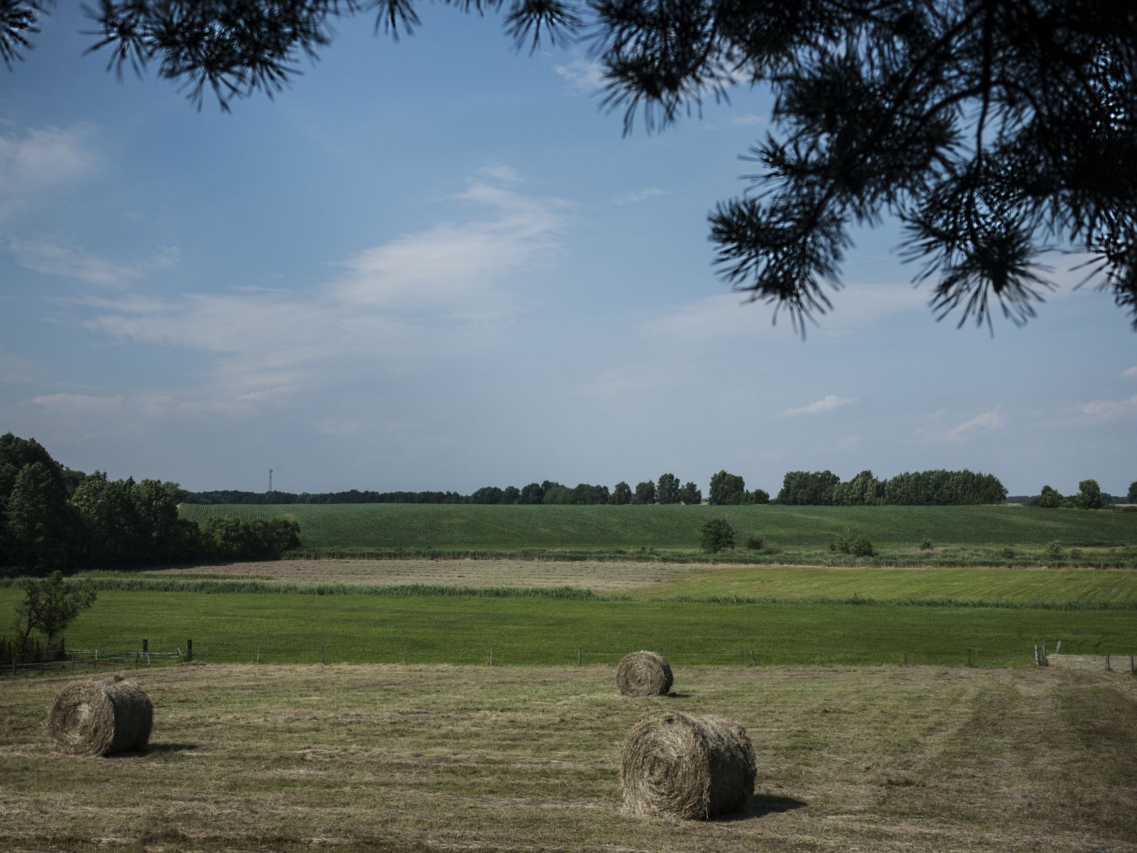 Wuthenow-Feld