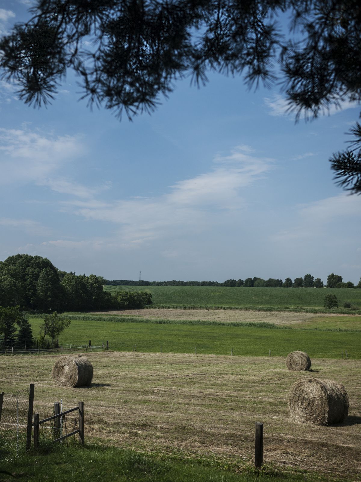 Wuthenow-Felder
