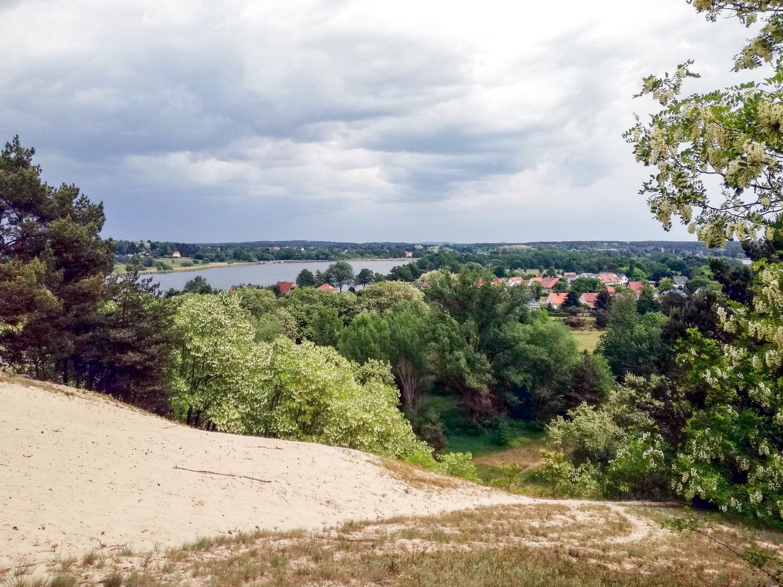 Phöben-Havelblick