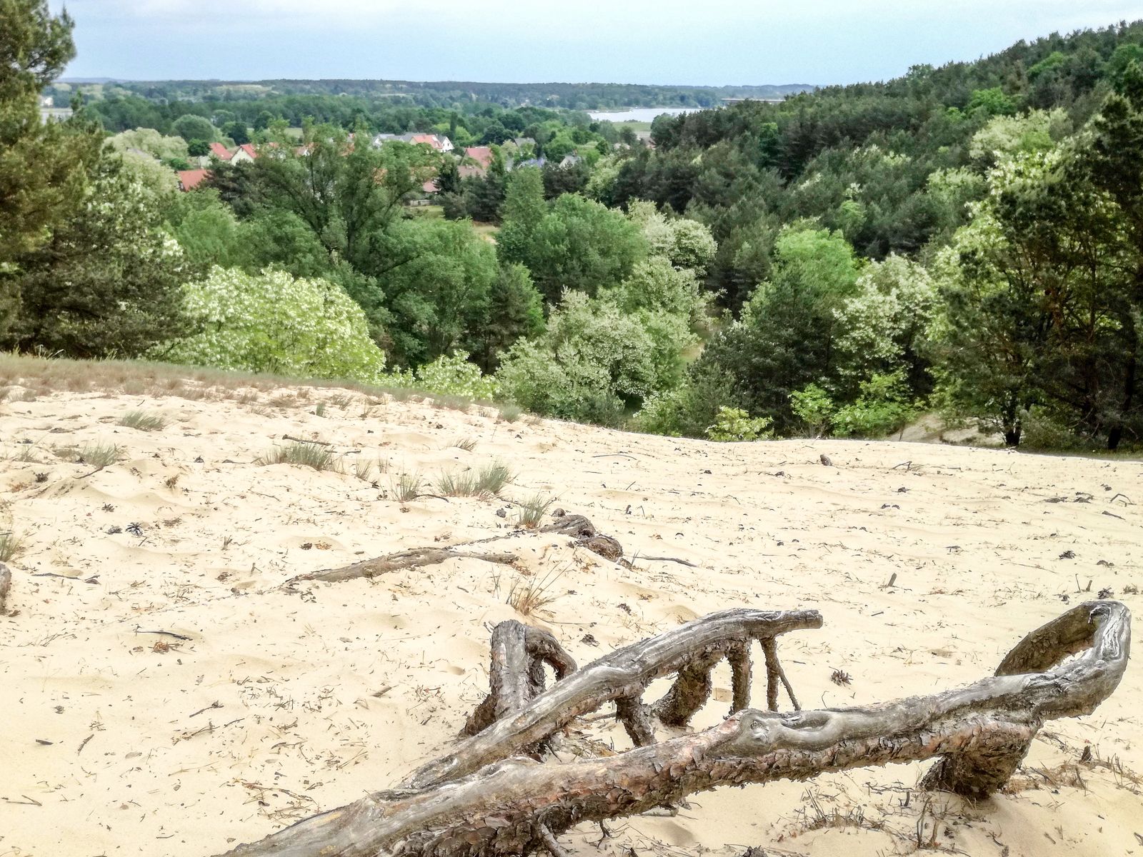 Phöben-Flussblick