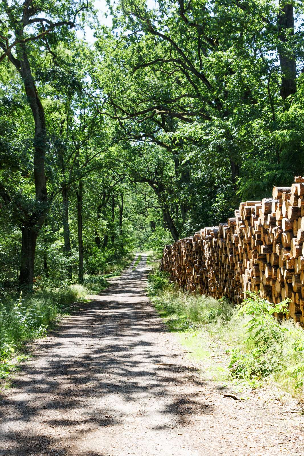 Potsdam-Ravensberge-Wanderwege