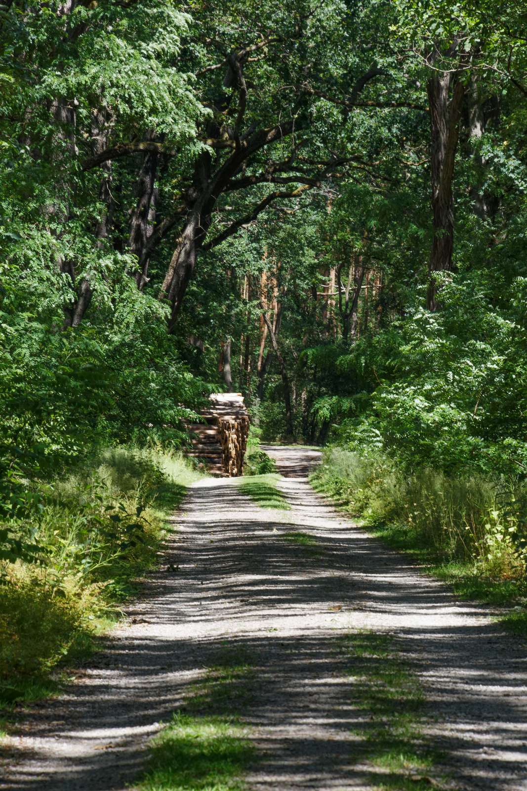 Potsdam-Ravensberge-Wanderwege