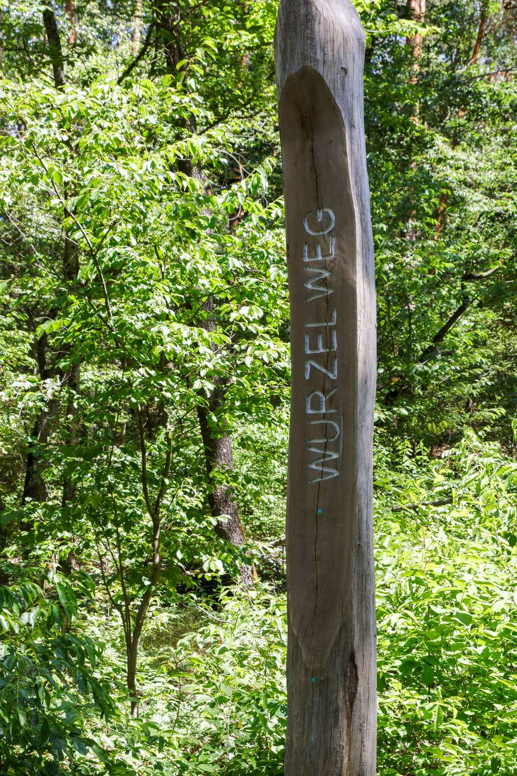 Potsdam-Ravensberge-Wanderwege