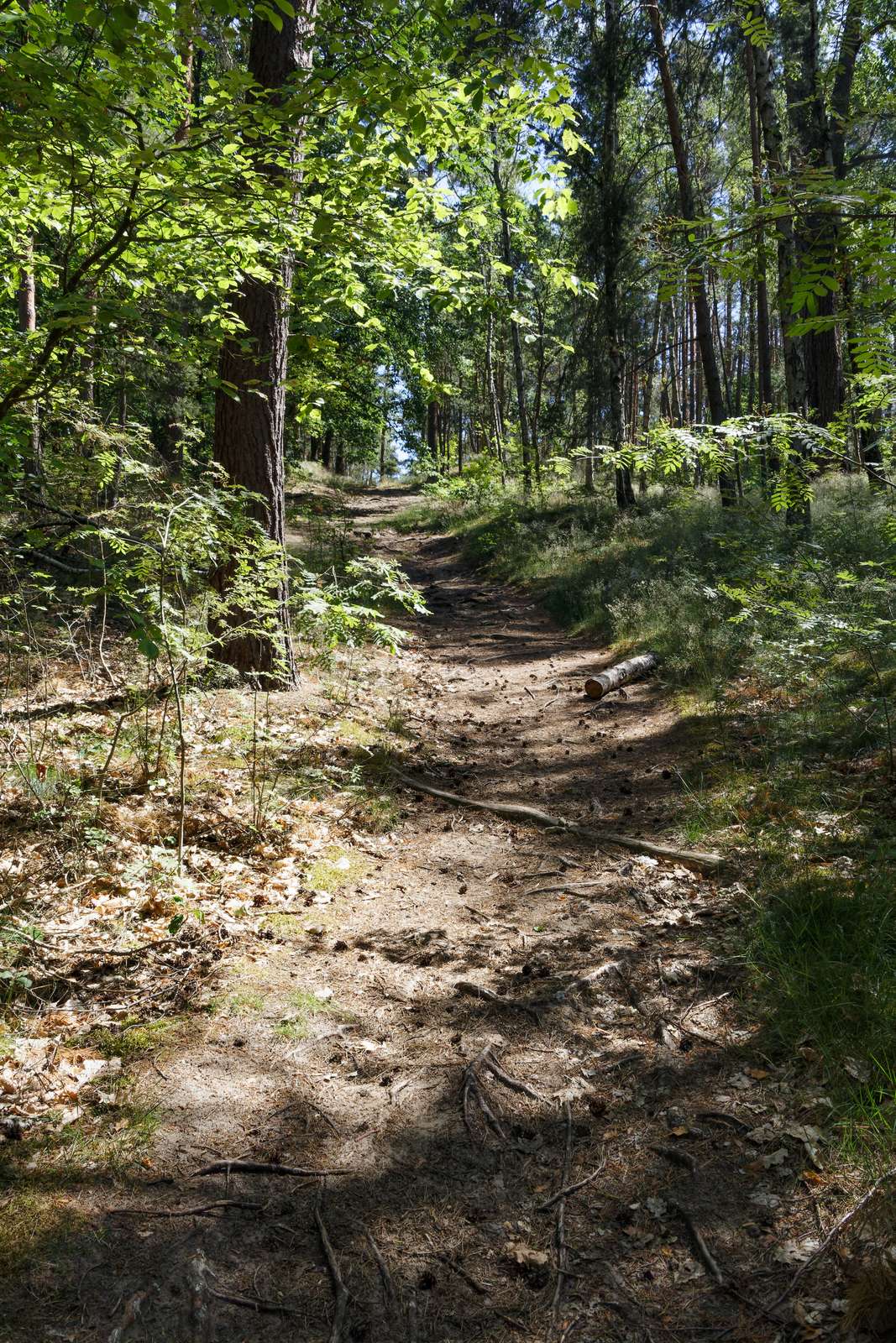 Potsdam-Ravensberge-Wanderwege