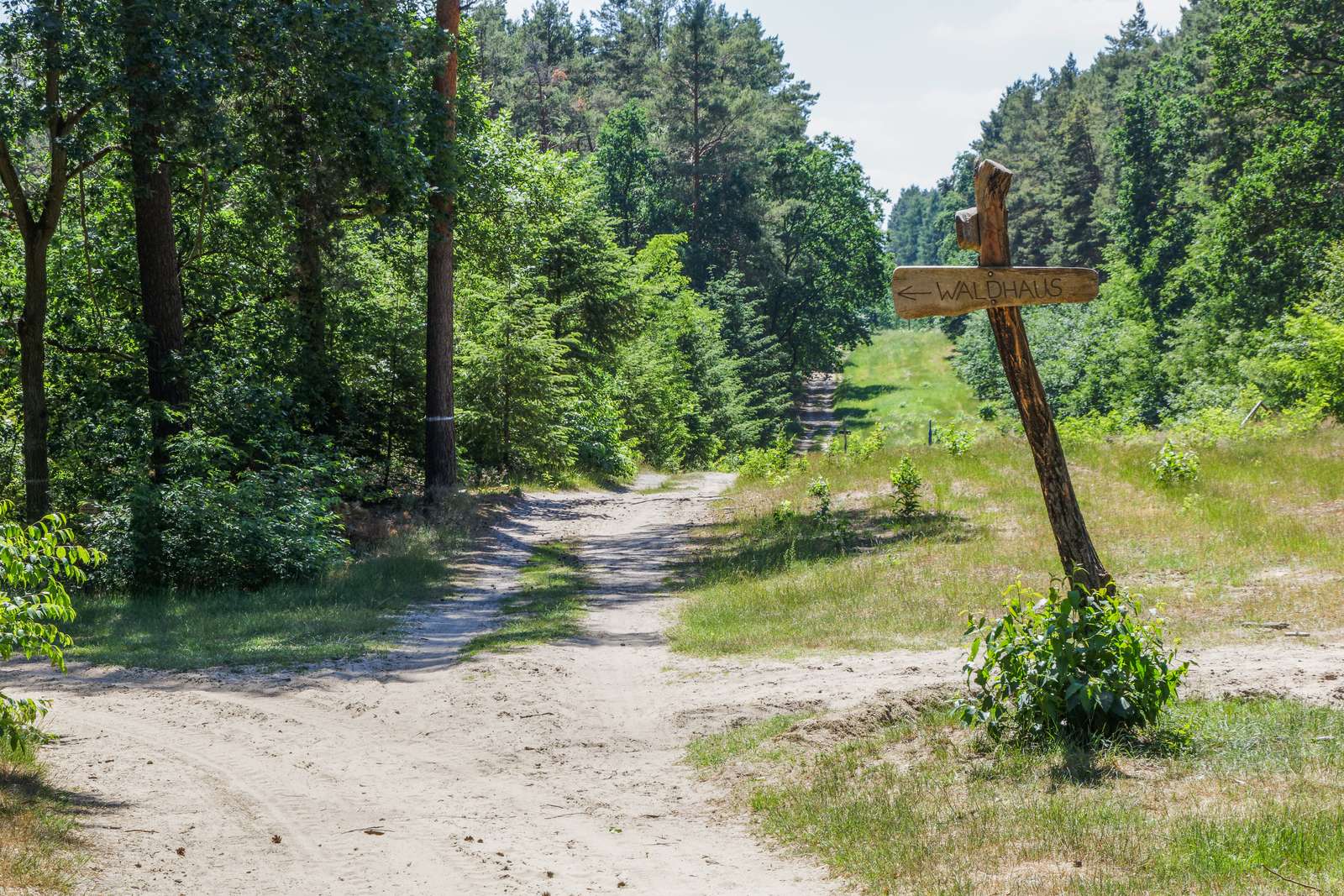 Potsdam-Ravensberge-Wanderwege