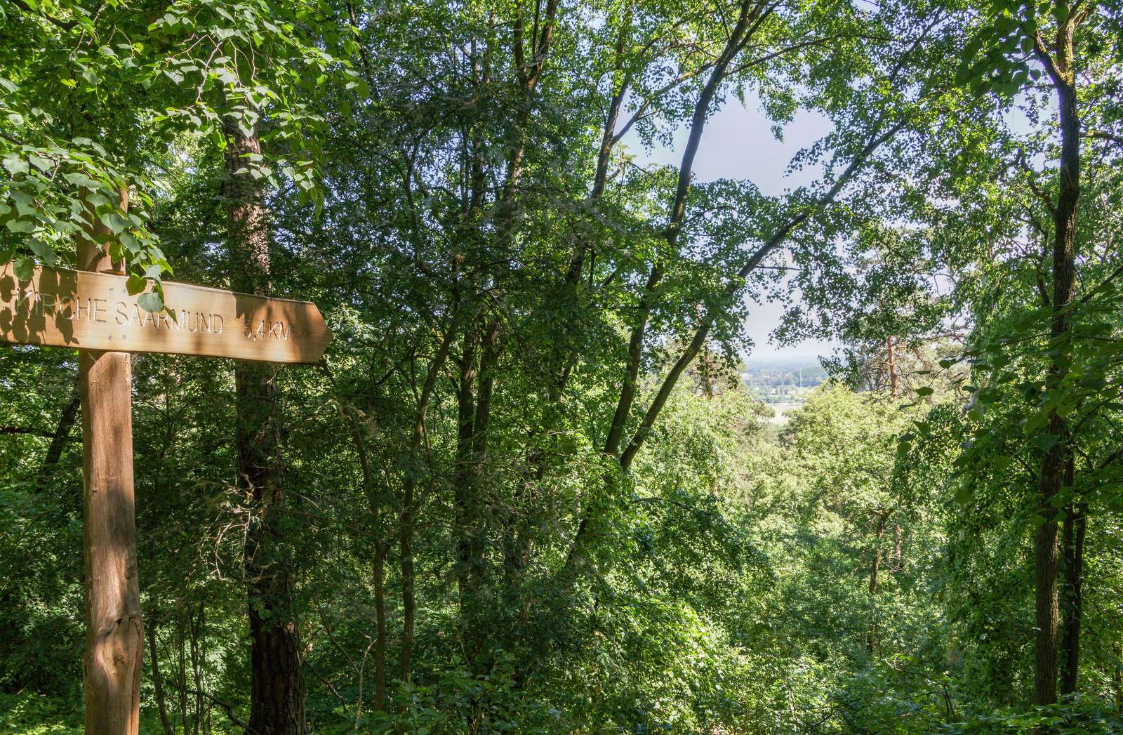 Potsdam-Ravensberge-Aussicht vom Großen Ravensberg