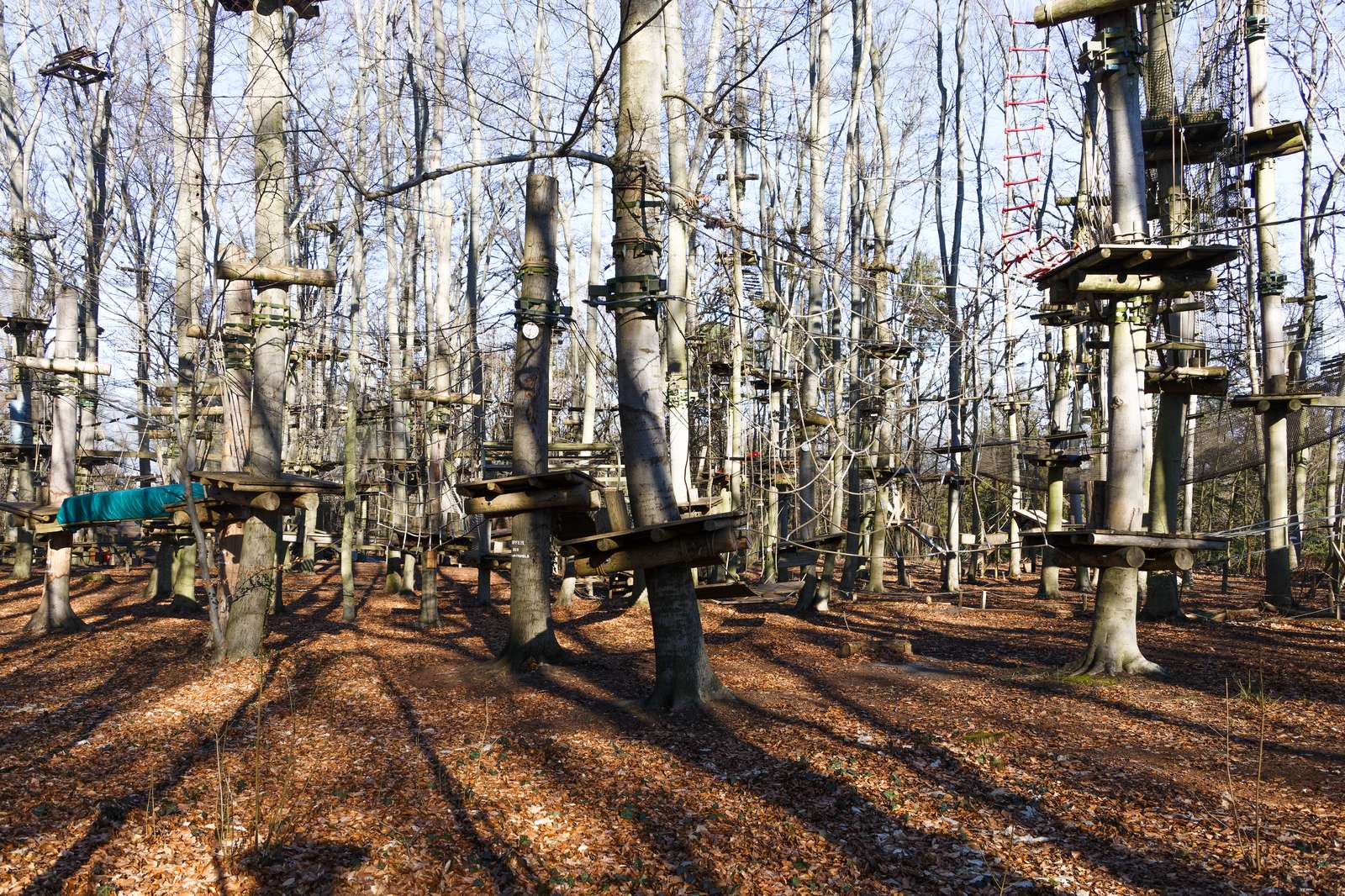 Potsdam-Kletterpark auf dem Telegrafenberg
