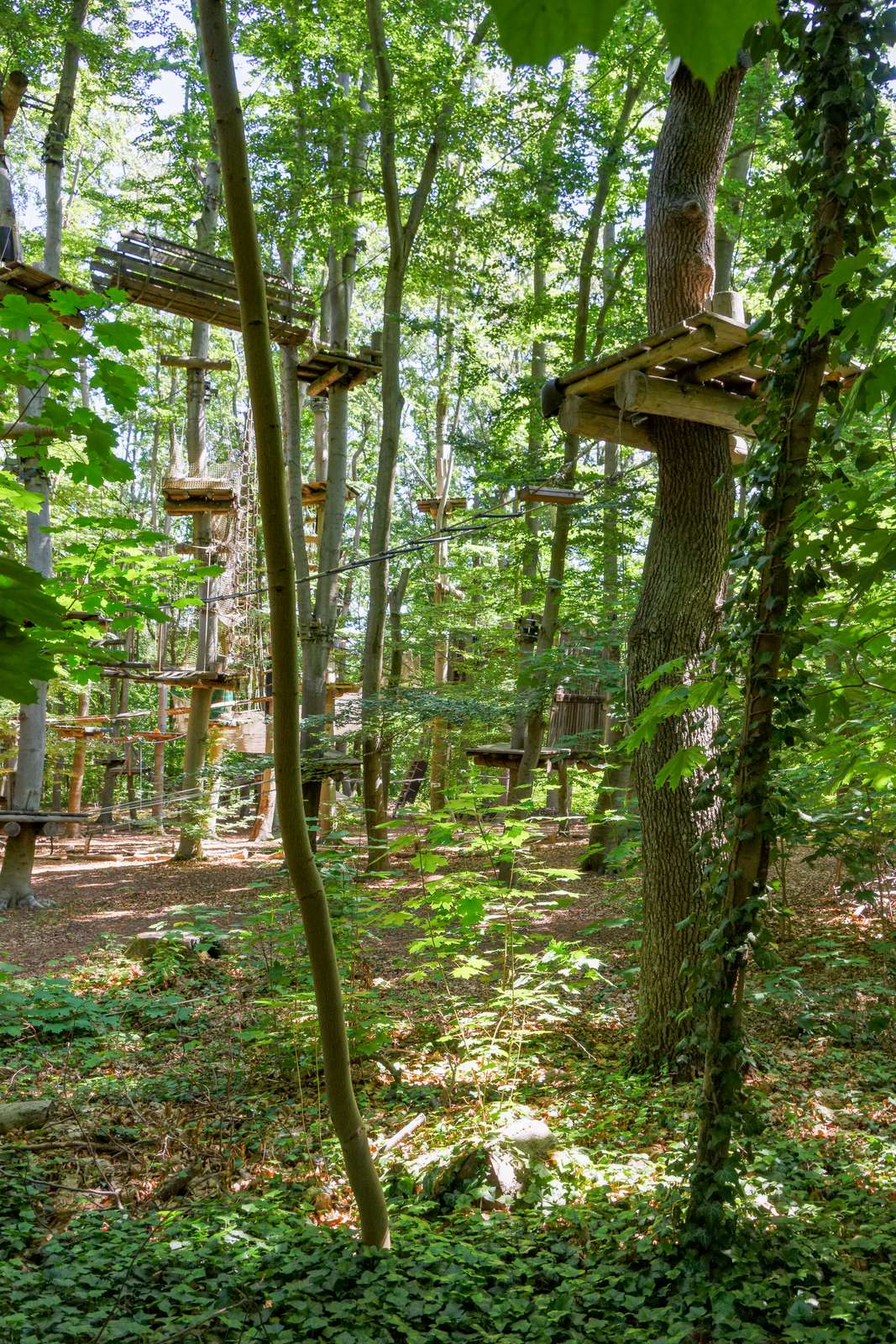 Potsdam-Telegrafenberg-Kletterpark