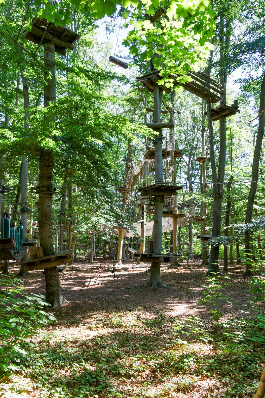Potsdam-Telegrafenberg-Kletterpark