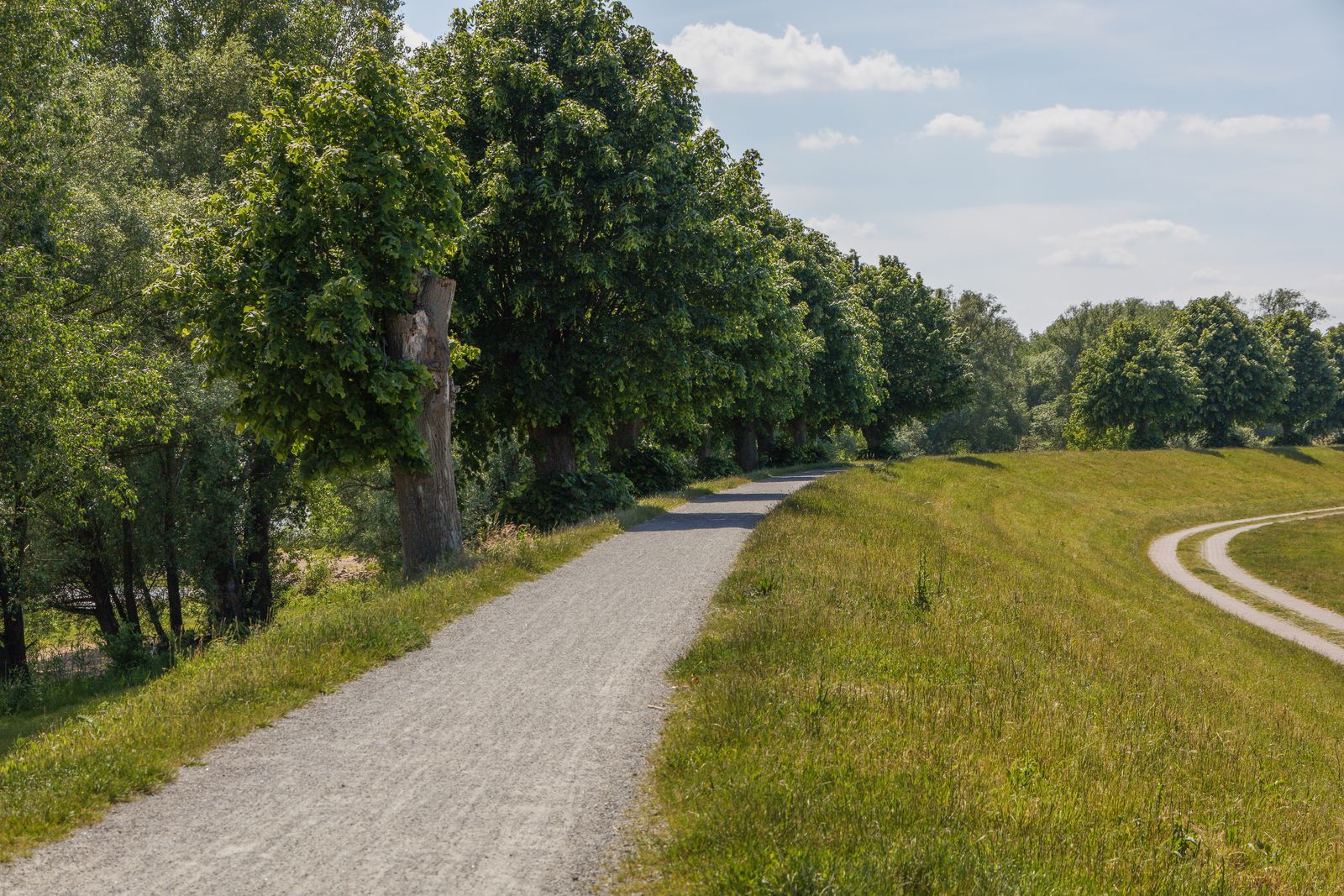 Wittenberge - Auf dem Elbdeich