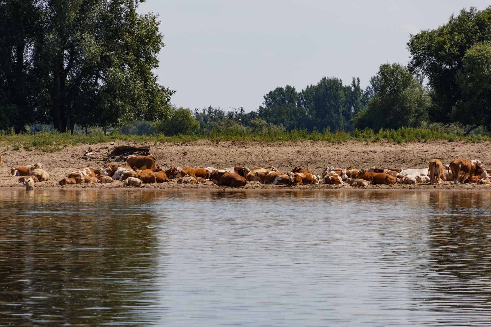 Wittenberge - An der Elbe