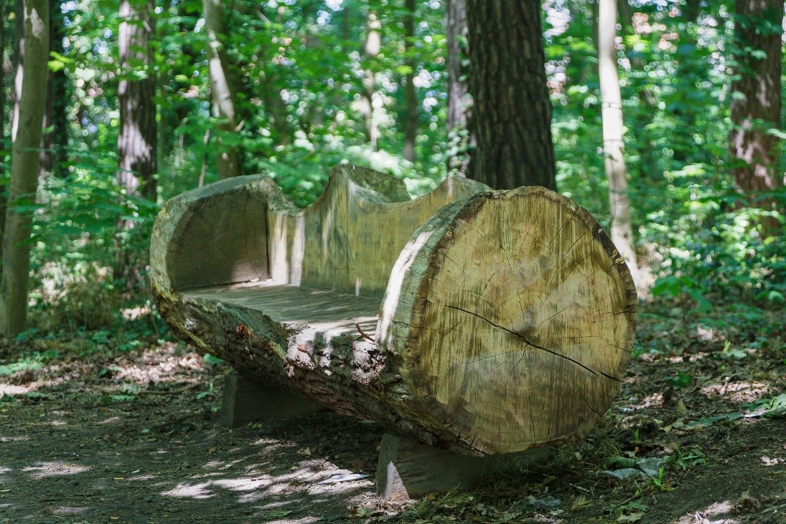 Wittenberge - Im Stadtpark