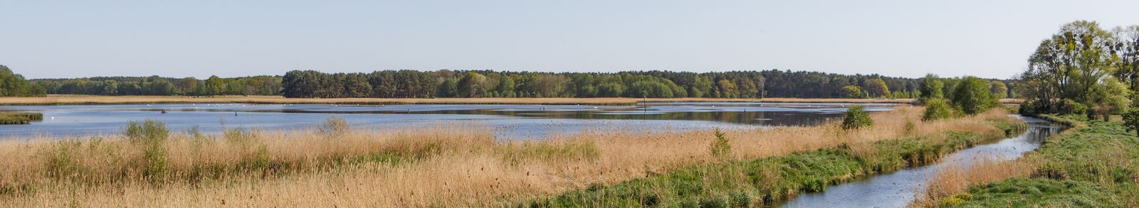 Dobbrikow