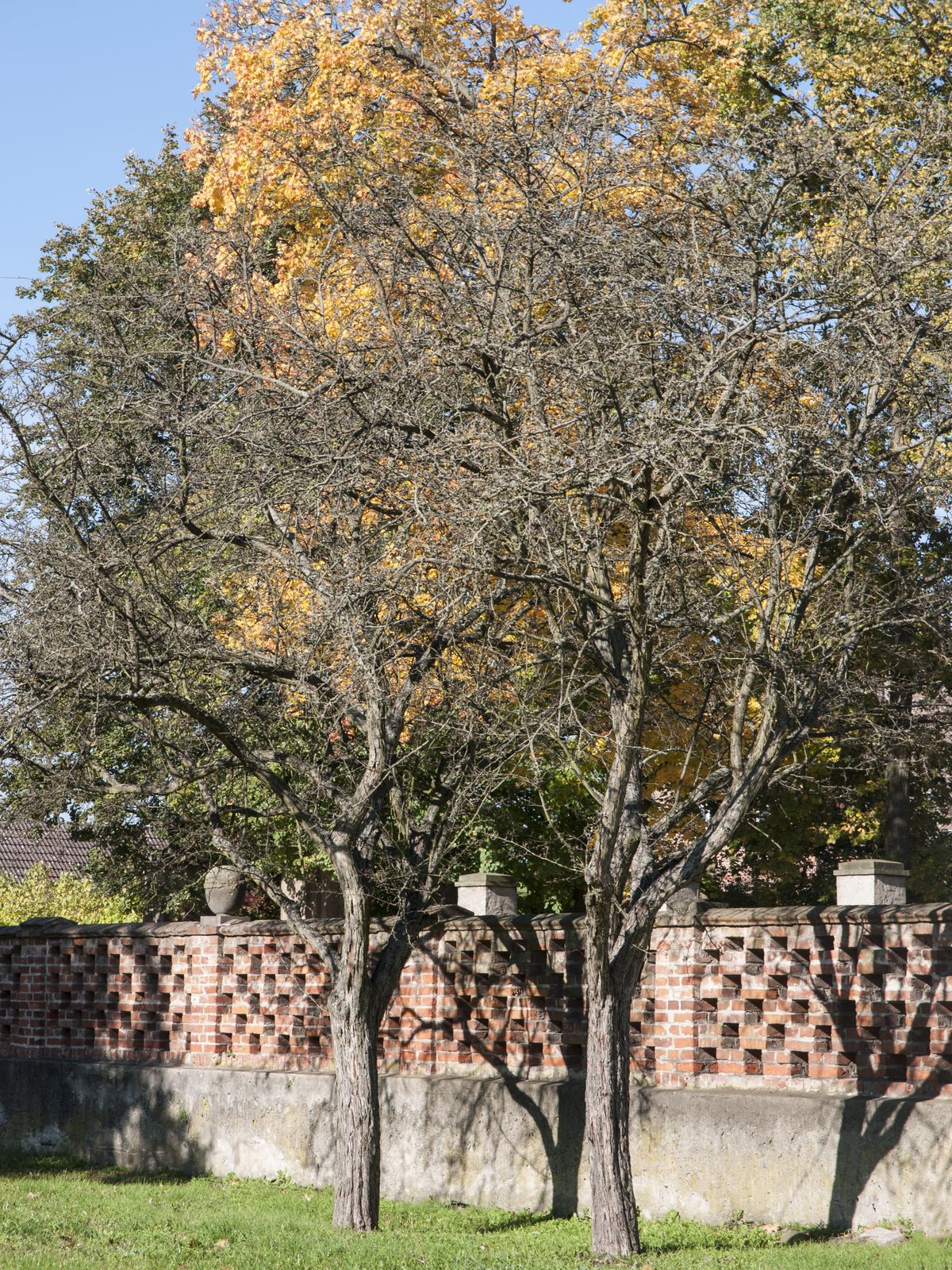 Lichterfelde-Schlossgarten