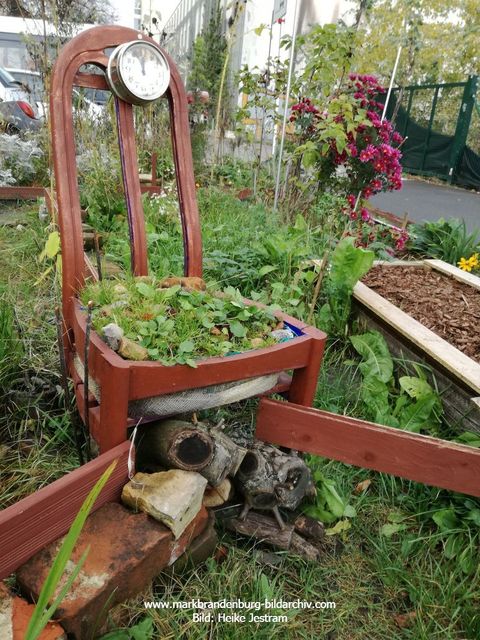 Natur findet Wege