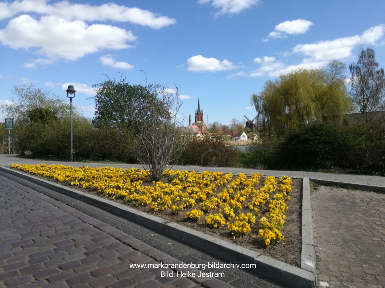 Werder Havel 202004 003