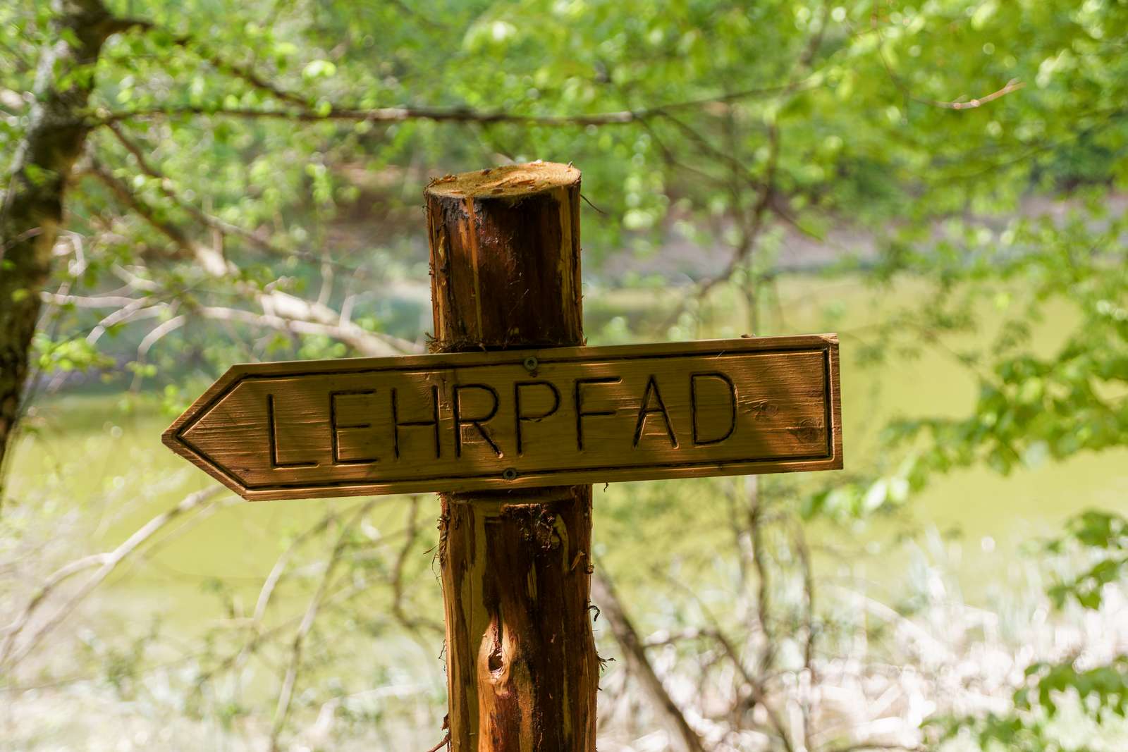 Baasee-Lehrpfad