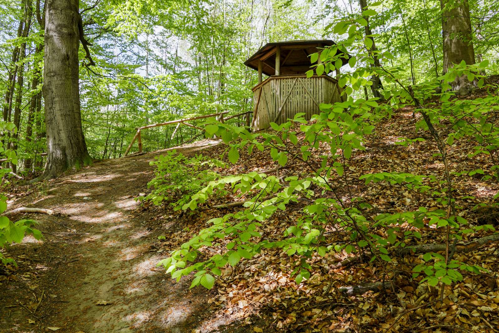 Baasee-Ilsentempel