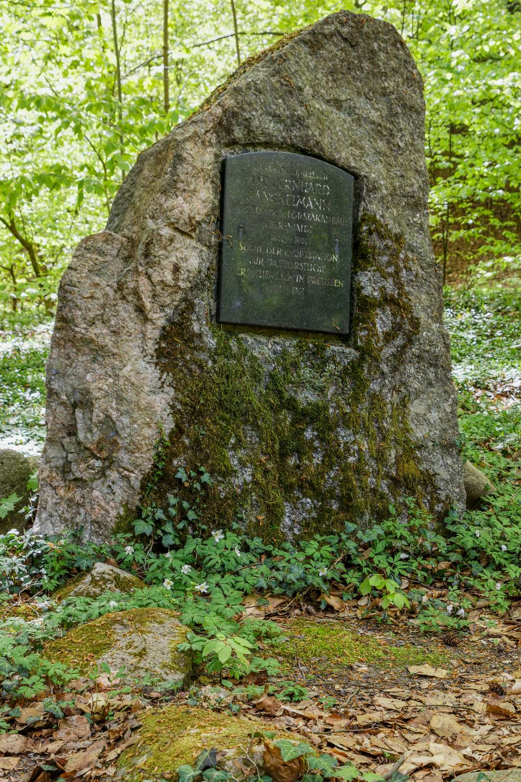 Baasee-Gedenkstein Danckelmann