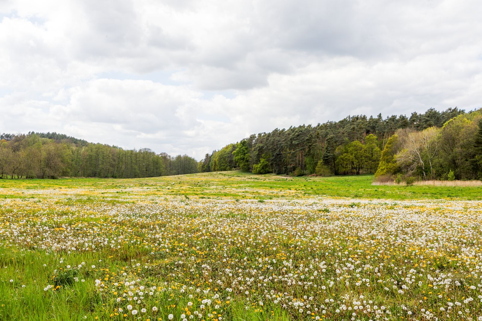 Landschaft am Weg zum Baasee