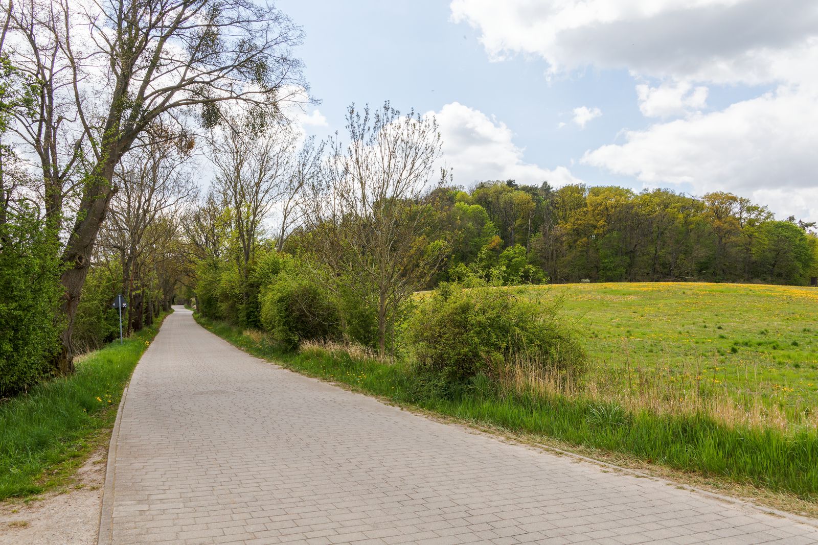 Straße zum Baasee bei Sonnenburg
