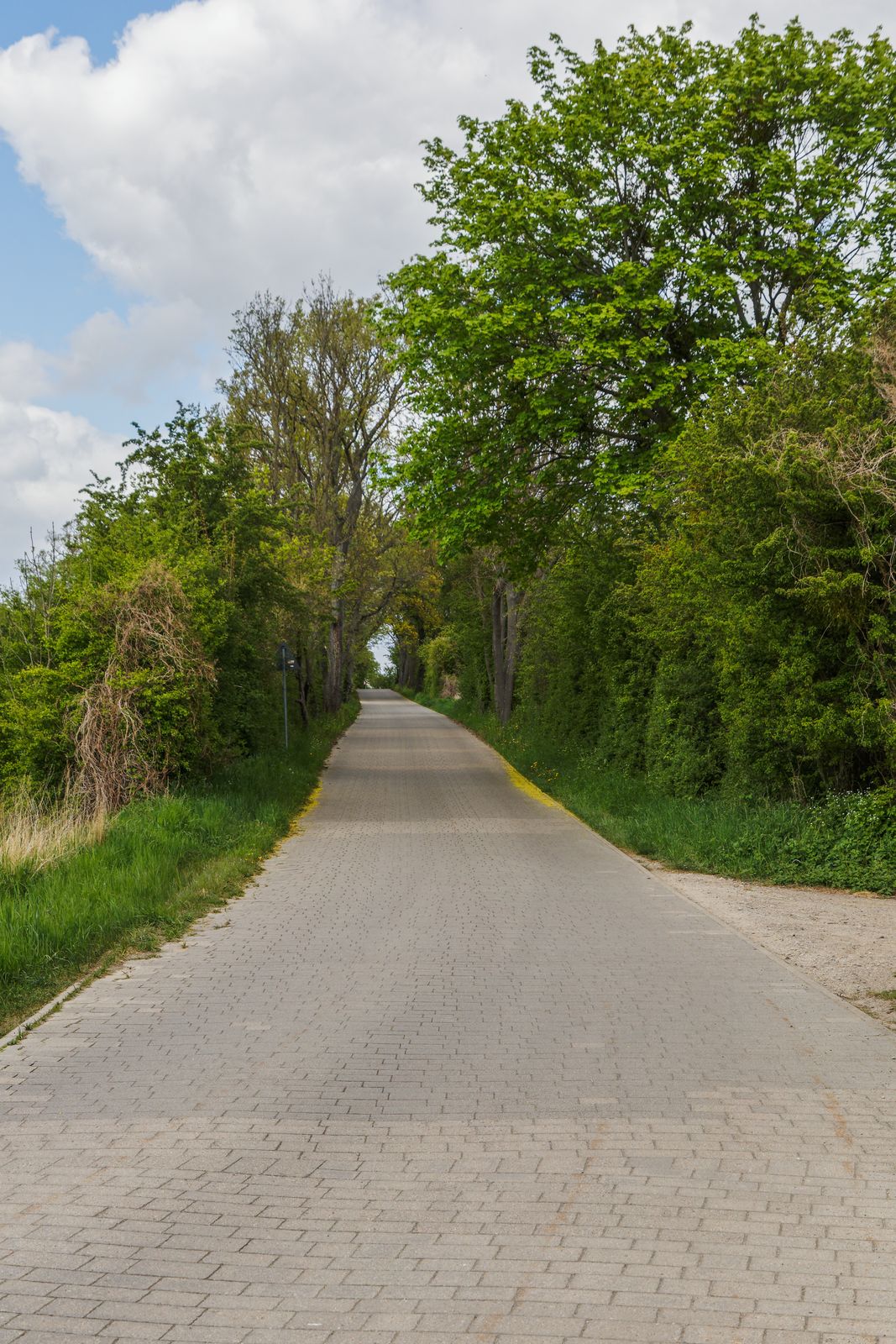 Straße zum Baasee bei Sonnenburg