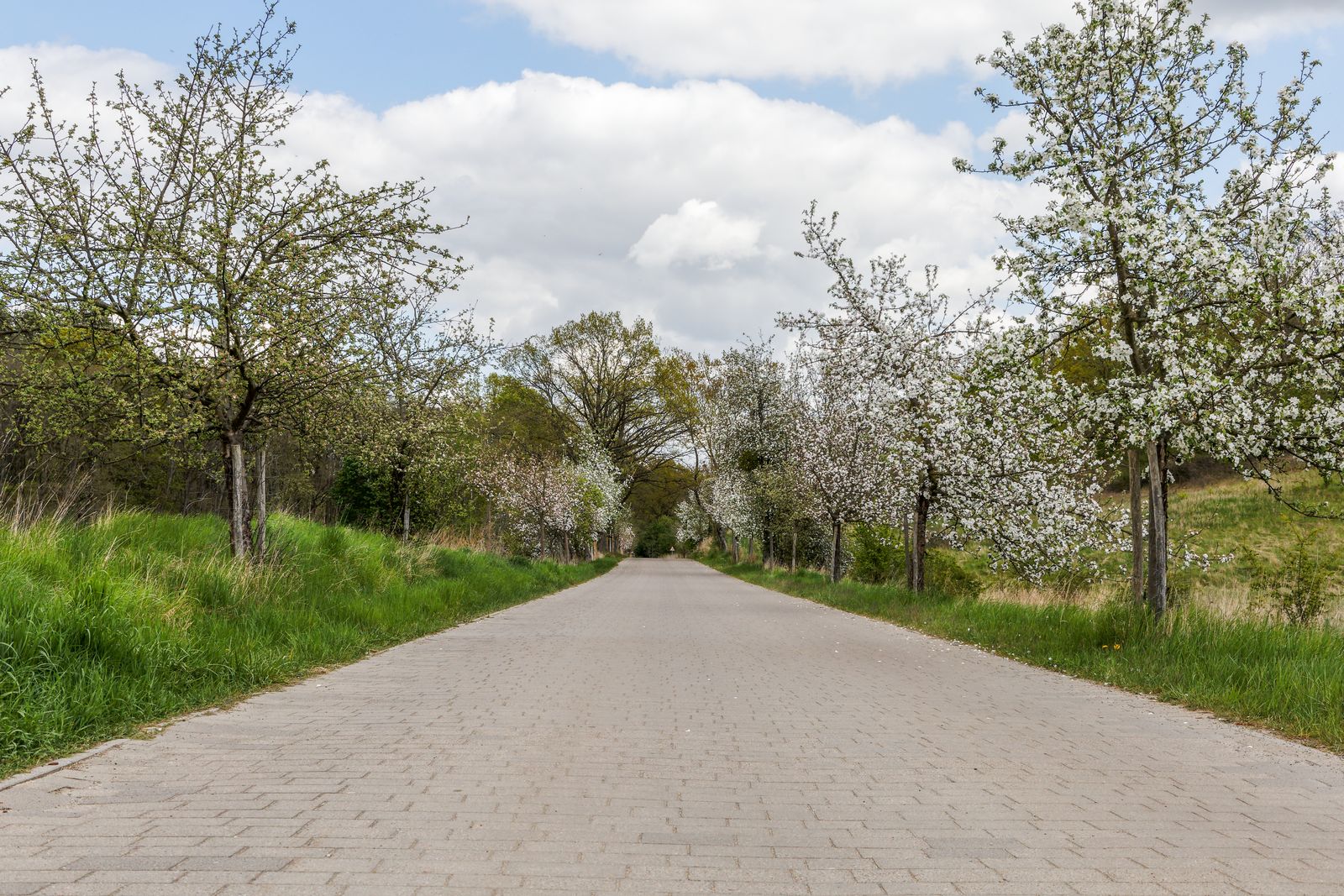 Straße zum Baasee bei Sonnenburg