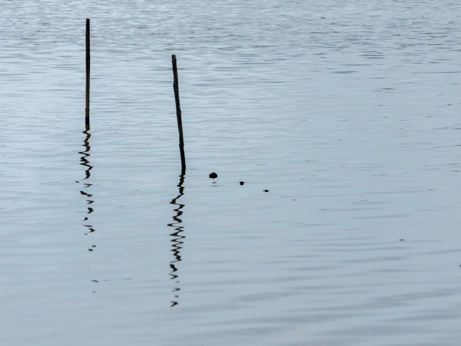 Blankensee-Reusen